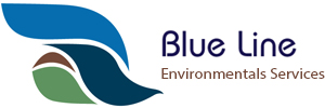 Blue Line Environmentals Services uae